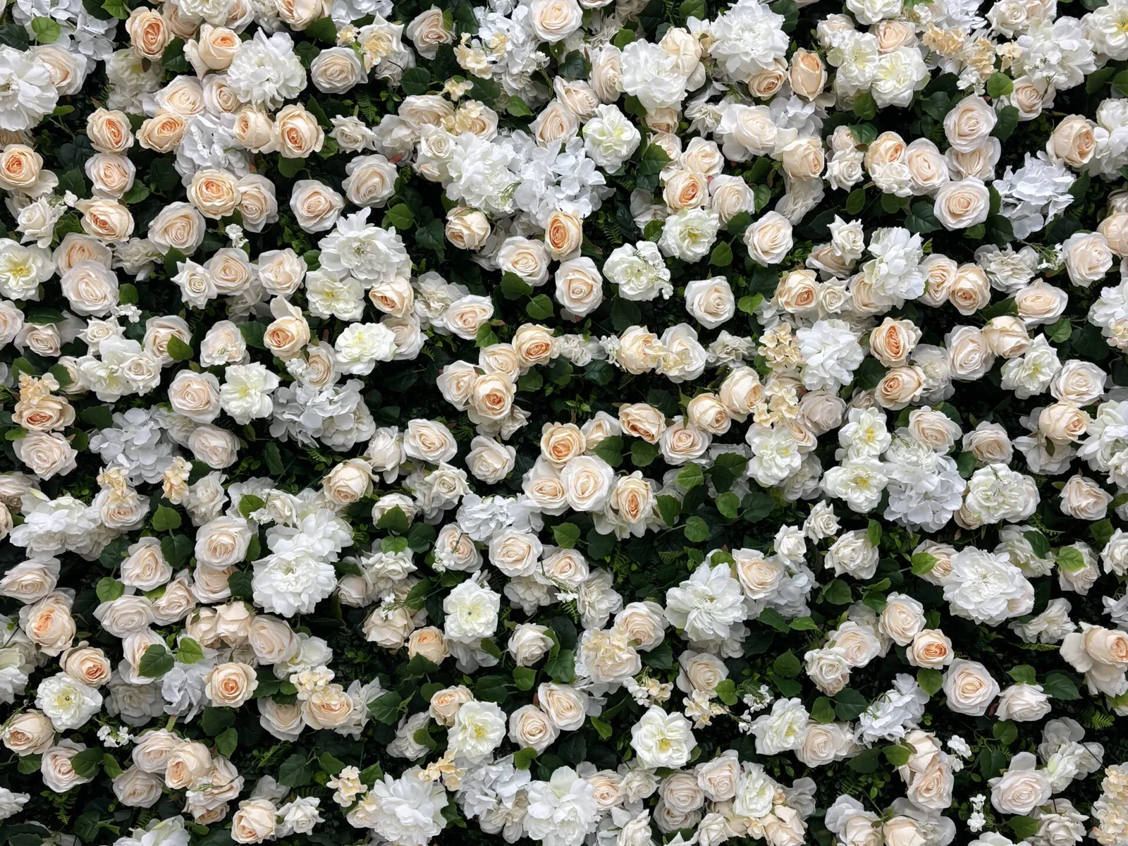 Backdrops, props and designs