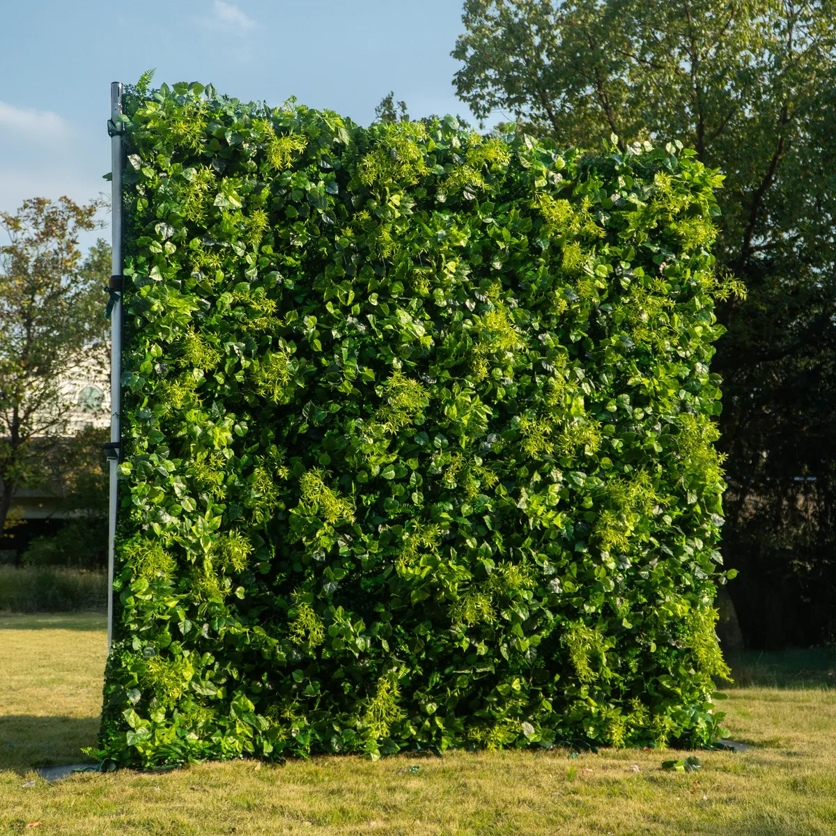 Mur végétal